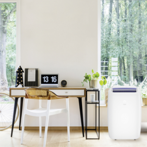 Climatiseur Mobile Réversible + Purificateur d'Air — Froid & Chaud