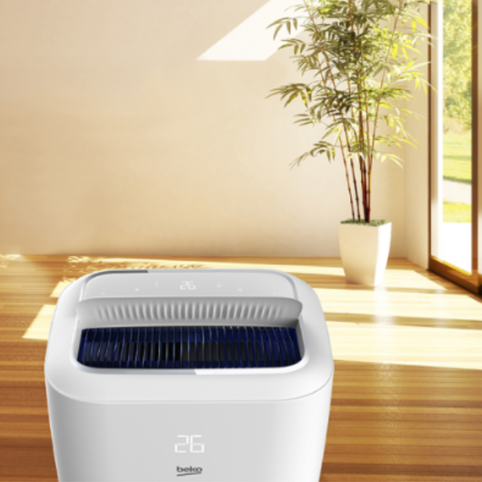 Climatiseur Mobile Réversible + Purificateur d'Air — Froid & Chaud